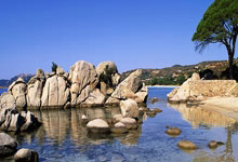 官方：原广州队后卫王文轩加盟重庆铜梁龙.